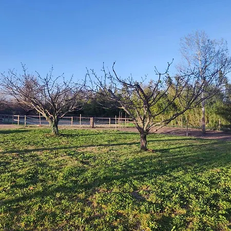 펜션 Les Petits Volets Bleus Bouchet (Drome)